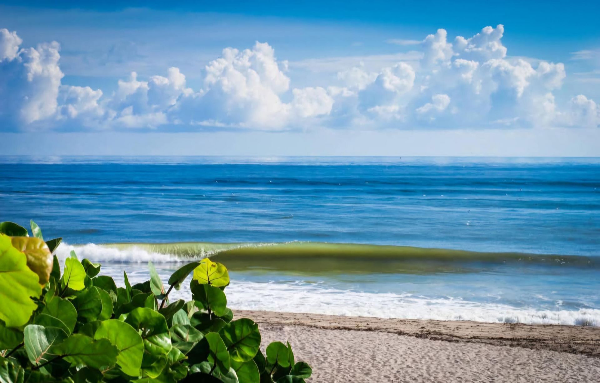 353 S Us Highway 1, Unit D409, Jupiter, FL 33477 Photo