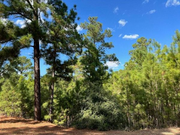Lot 986 Kailua L LN, Bastrop, TX 78602