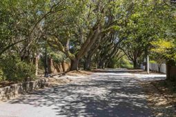 1822 Brevard Place photo 4