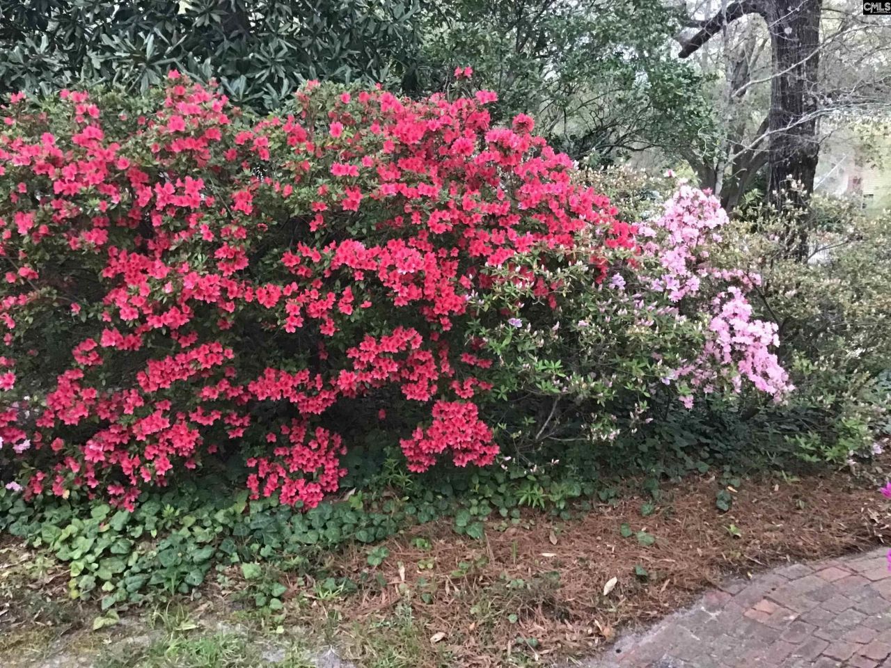 1822 Brevard Place Photo 49