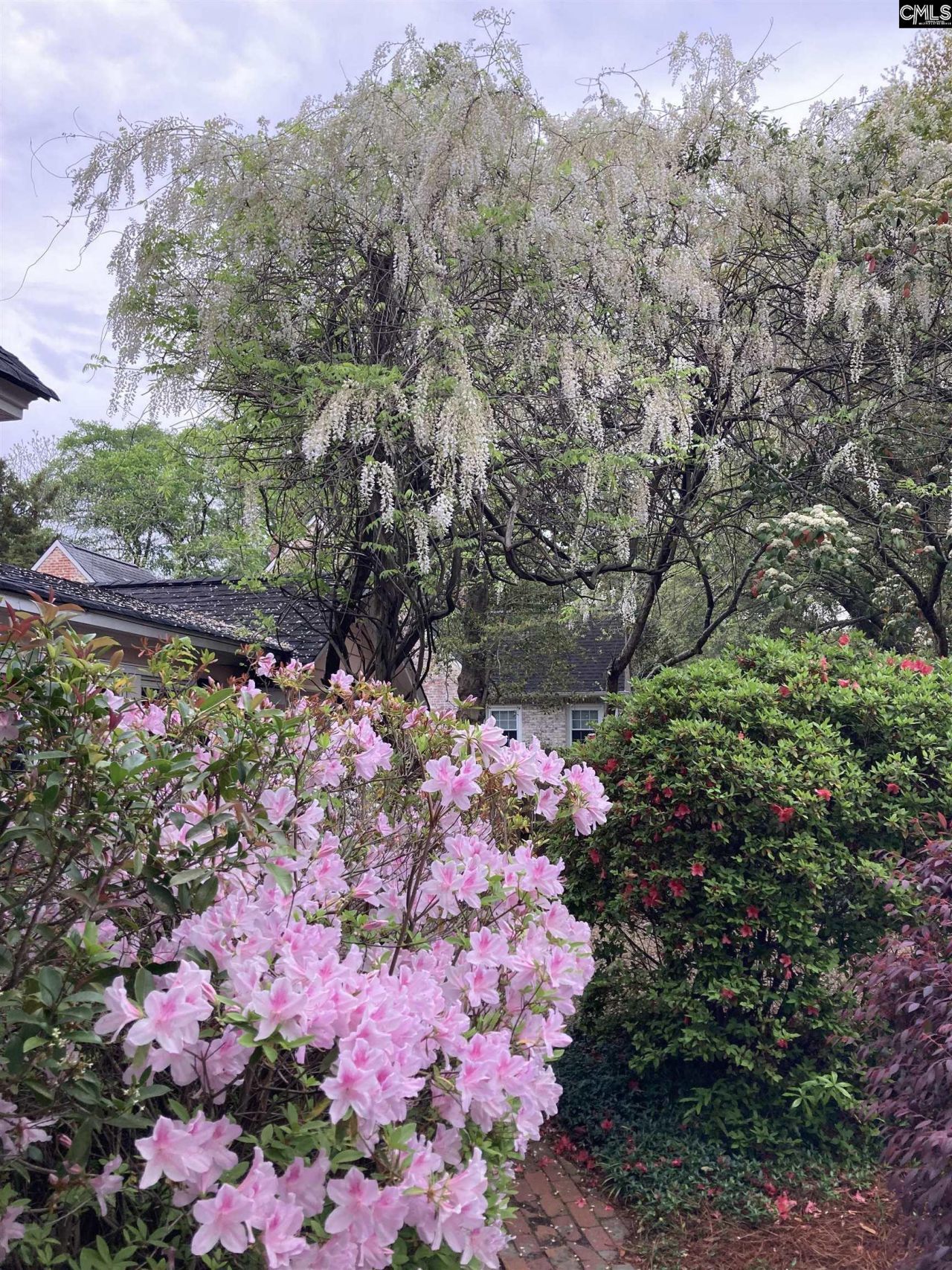 1822 Brevard Place Photo 53