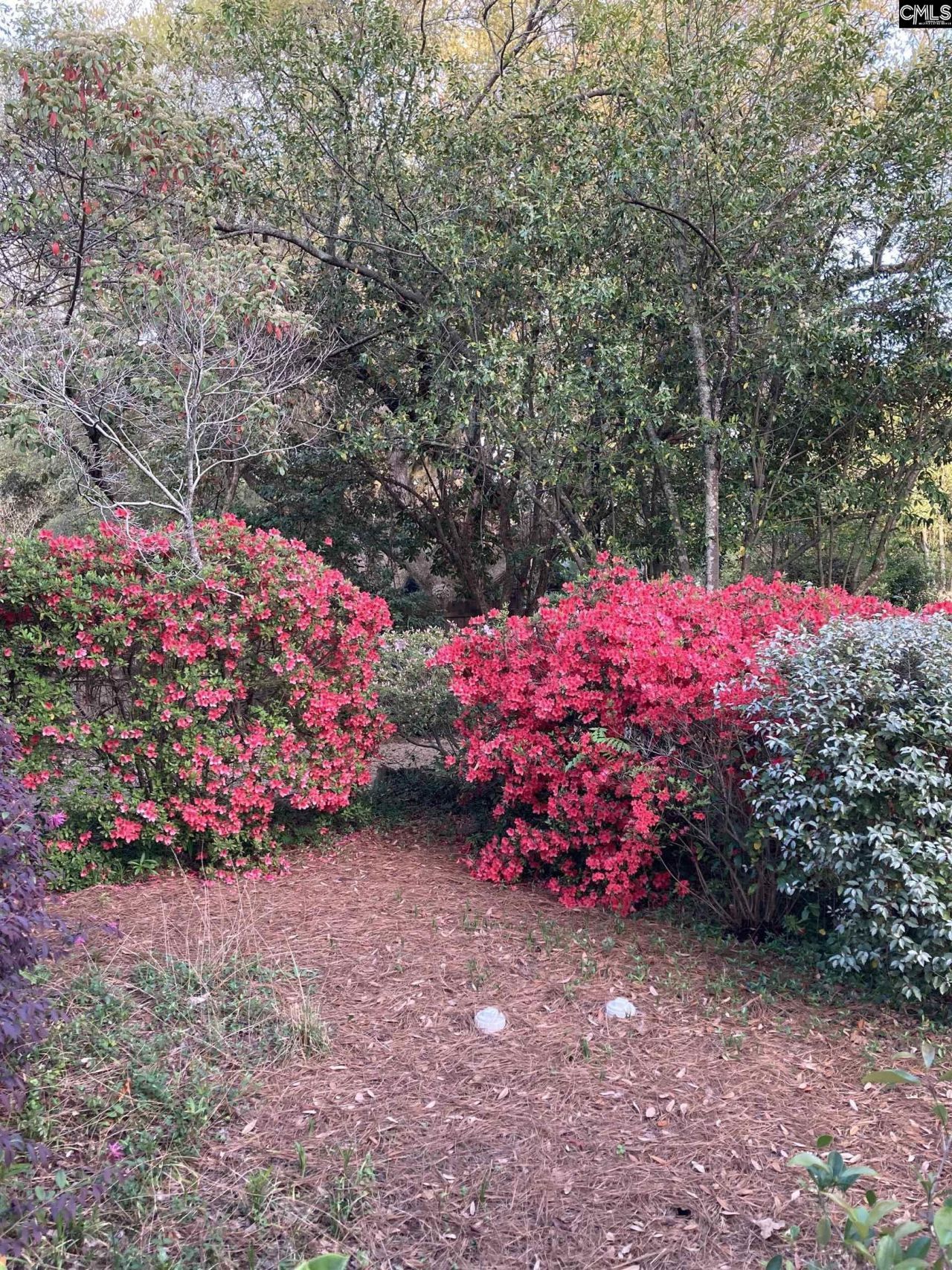 1822 Brevard Place  Photo 54