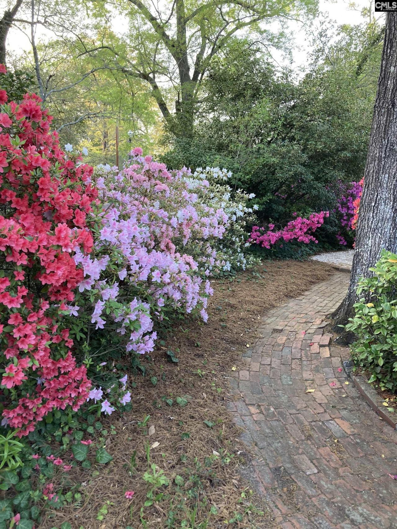 1822 Brevard Place Photo 57