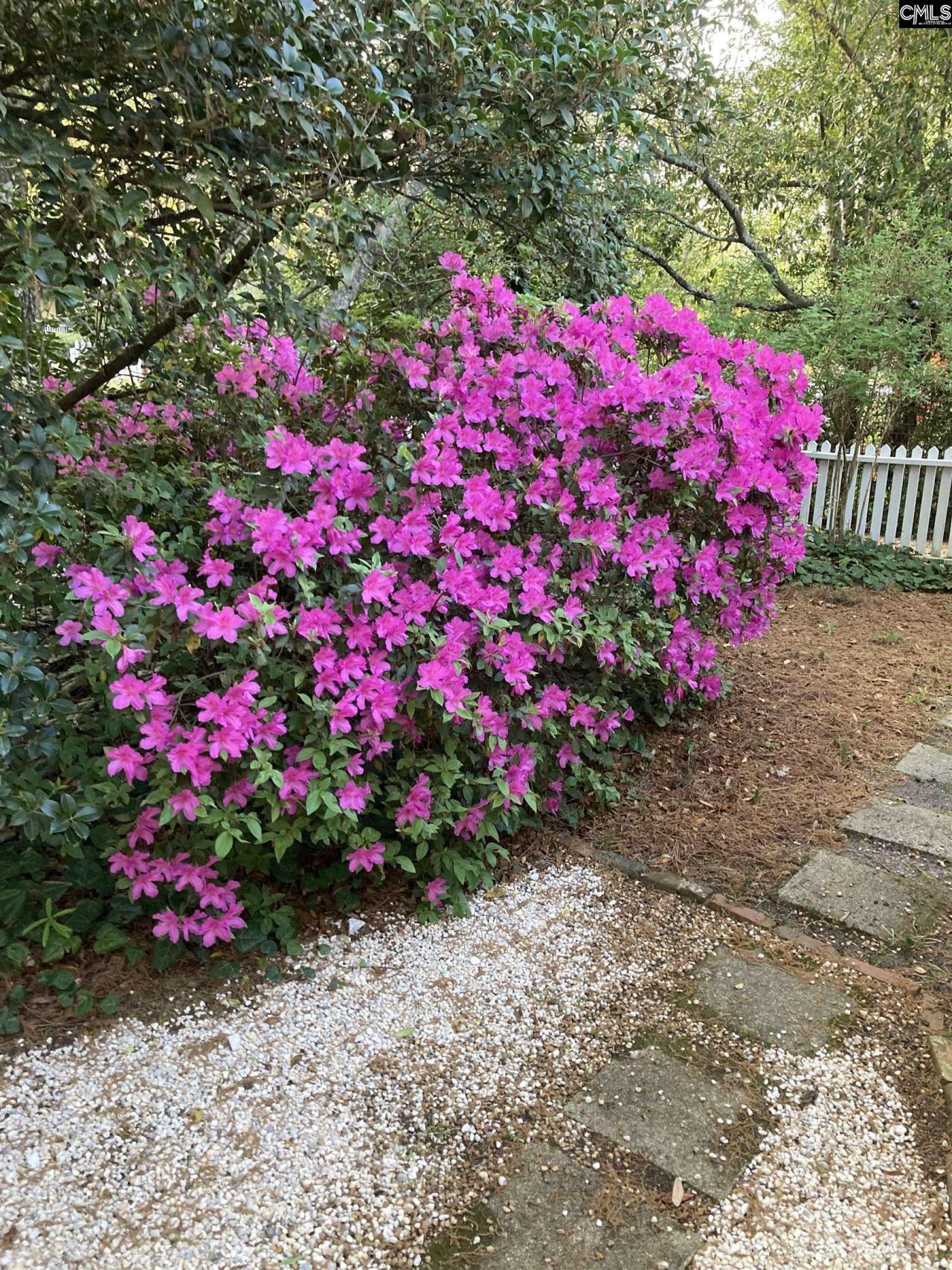 1822 Brevard Place  Photo 58