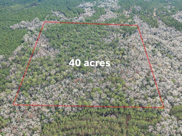 00 Clemmons Rd Road , Bonifay, FL 32425