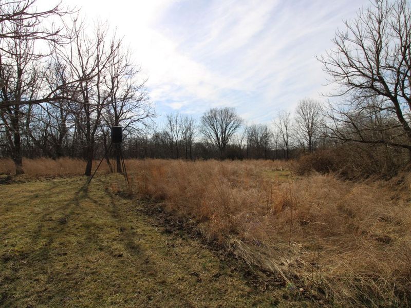 21 James Street, Williamstown, KY 41097 Photo 28