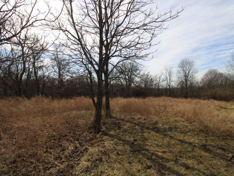 21 James Street, Williamstown, KY 41097 Photo 30