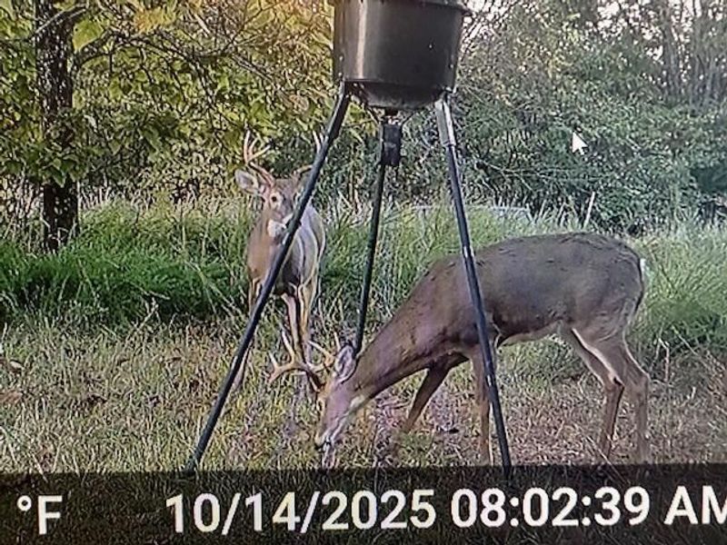 21 James Street, Williamstown, KY 41097 Photo 35