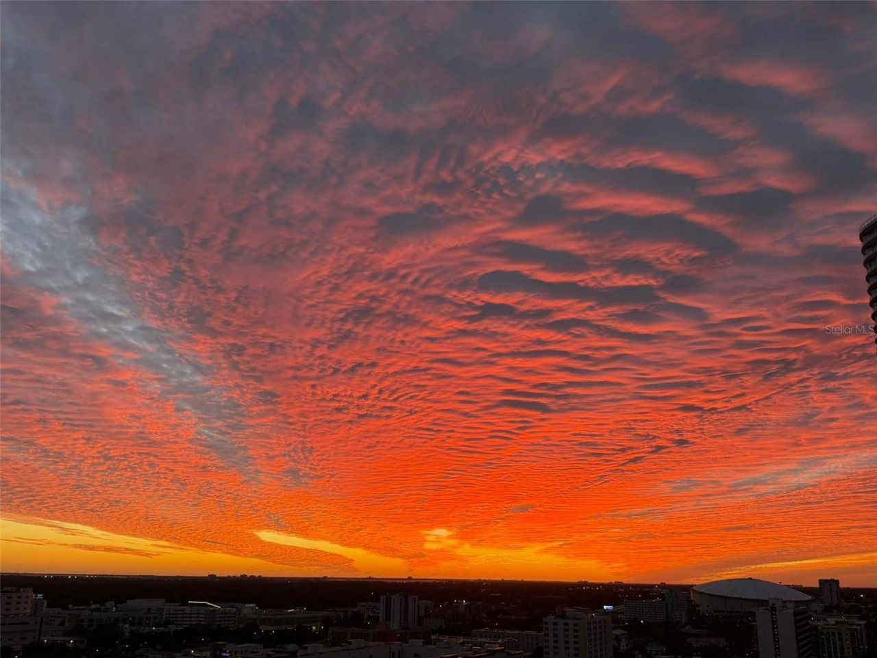 275 1st Avenue S, Unit 2206, Saint Petersburg, FL 33701 Photo