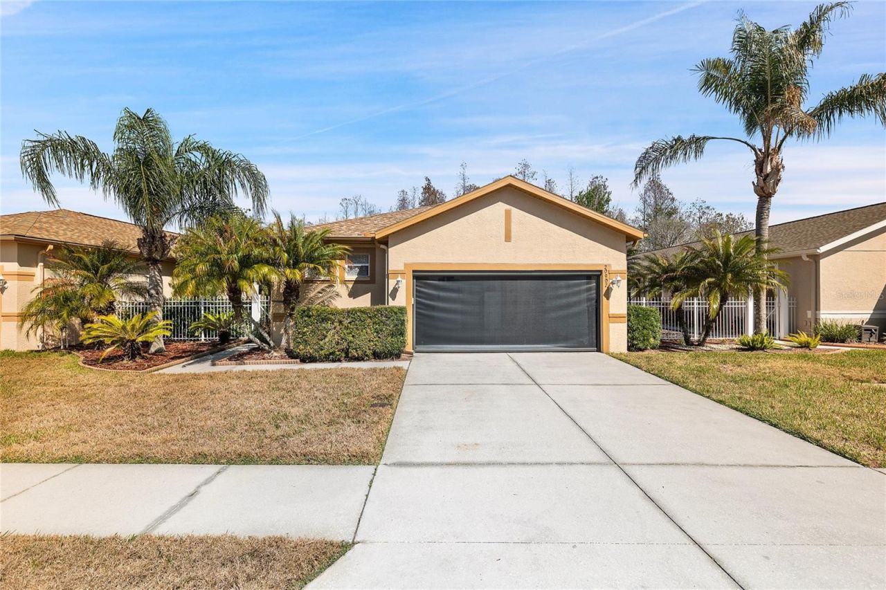 20907 Diamonte Drive, Land O Lakes, FL 34637 Main Photo