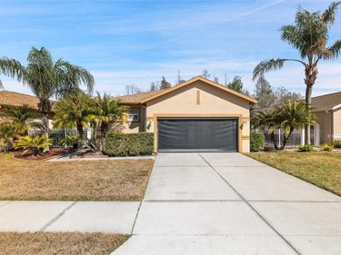 20907 DIAMONTE DRIVE, LAND O LAKES, FL 34637