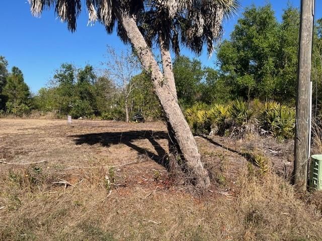 11508 6th Avenue, Punta Gorda, FL 33955 Photo