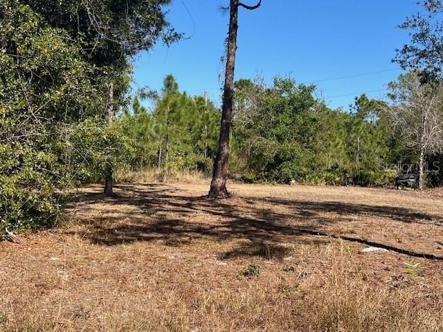 11508 6th Avenue, Punta Gorda, FL 33955 Photo