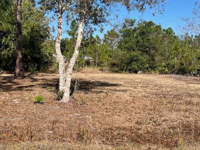11508 6th Avenue, Punta Gorda, FL 33955 Photo
