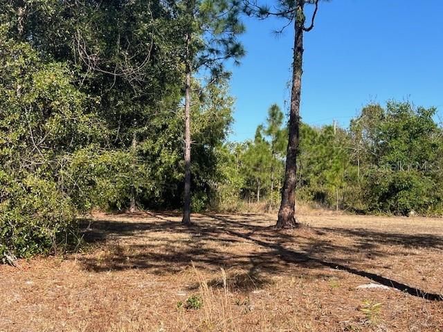 11508 6th Avenue, Punta Gorda, FL 33955 Photo