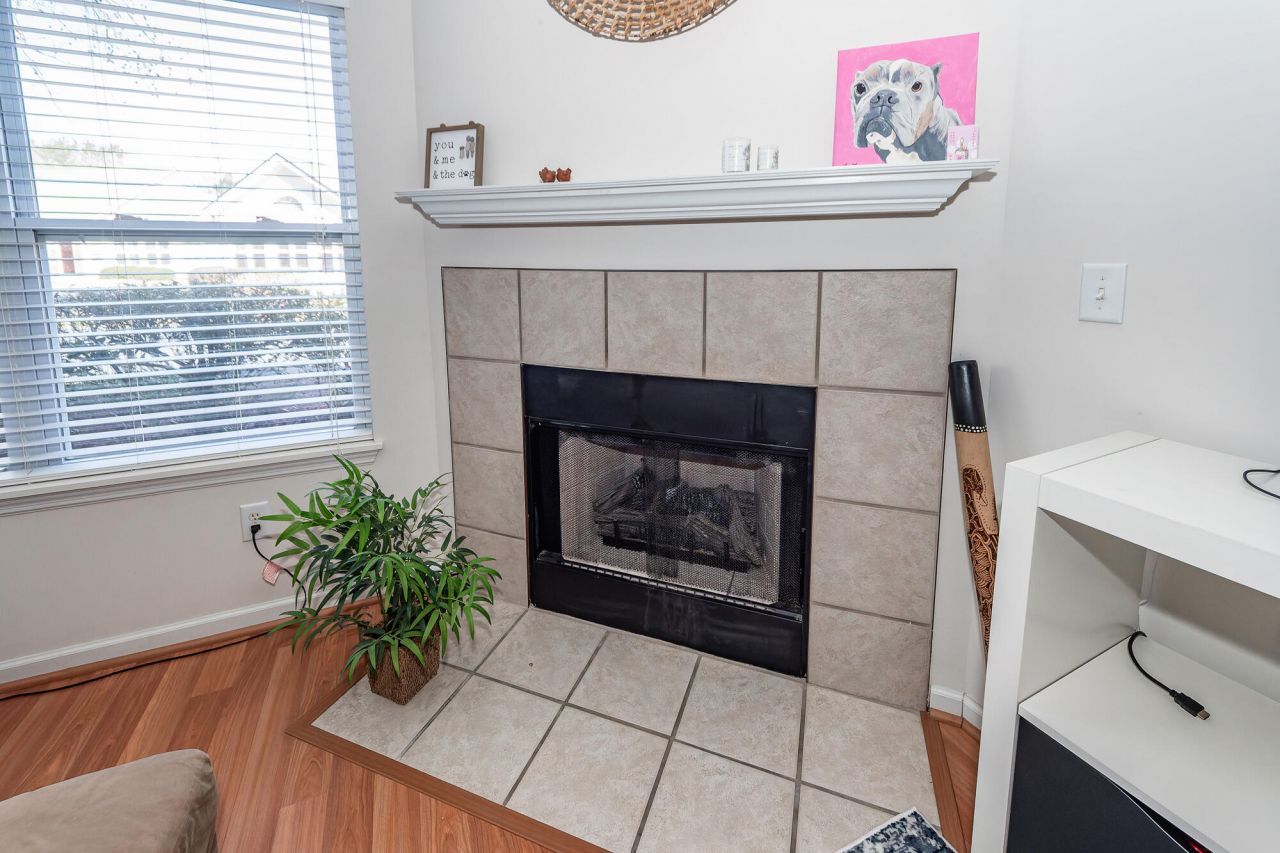 116 Ashley Villa Circle Photo 6