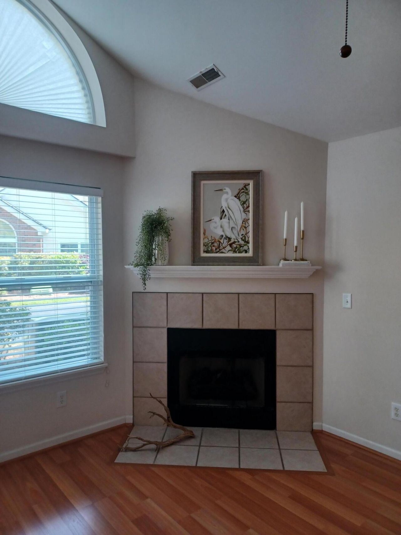 116 Ashley Villa Circle Photo 6