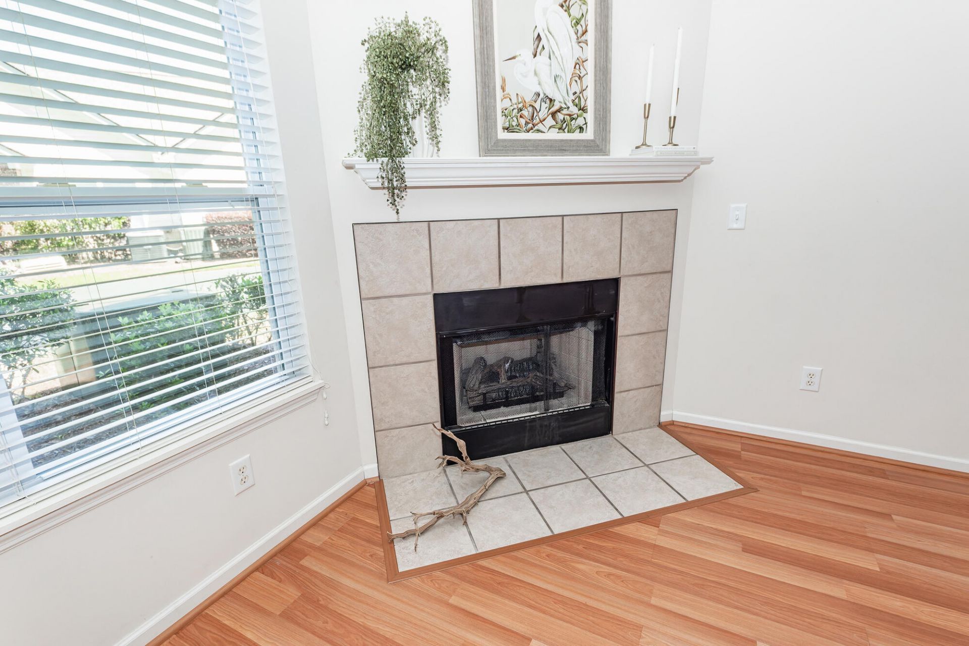 116 Ashley Villa Circle Photo 7