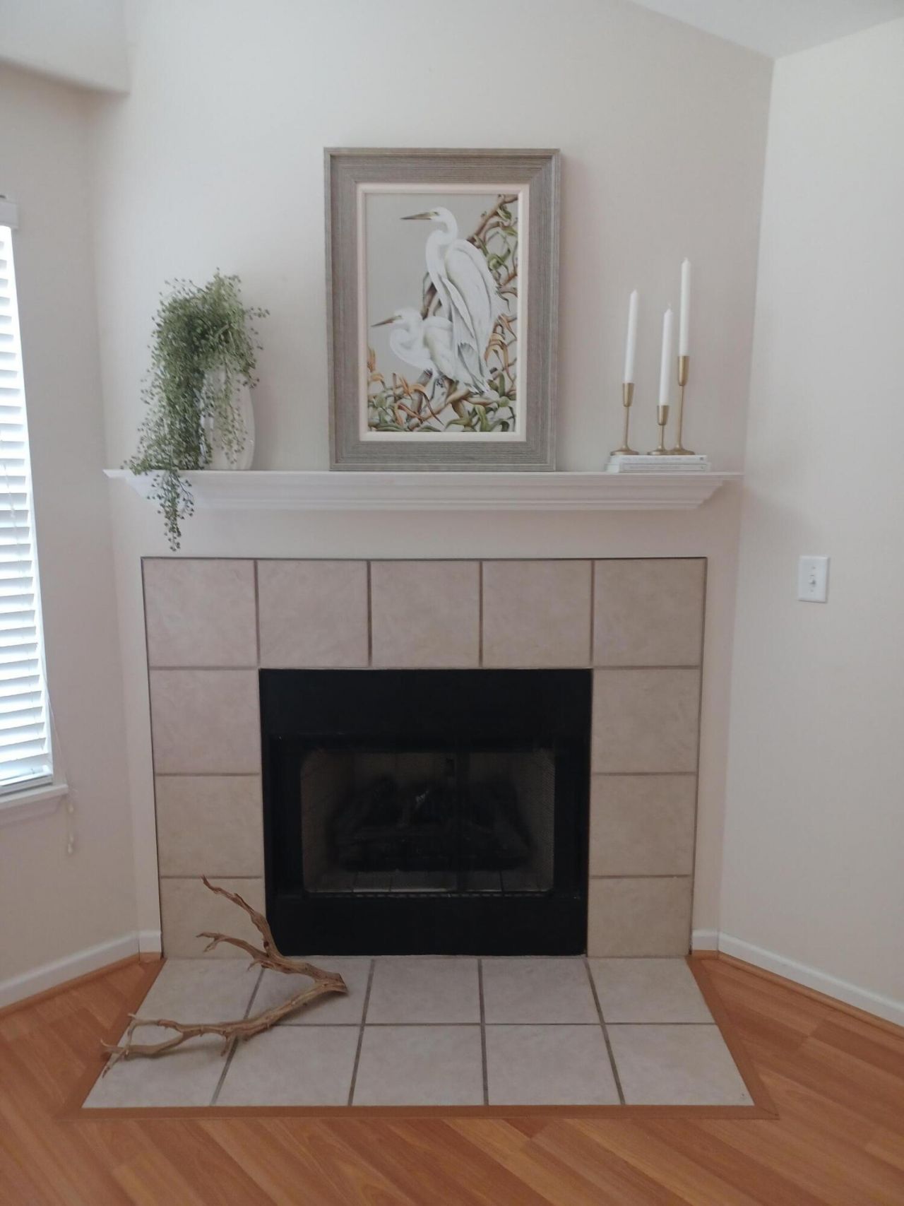 116 Ashley Villa Circle Photo 7