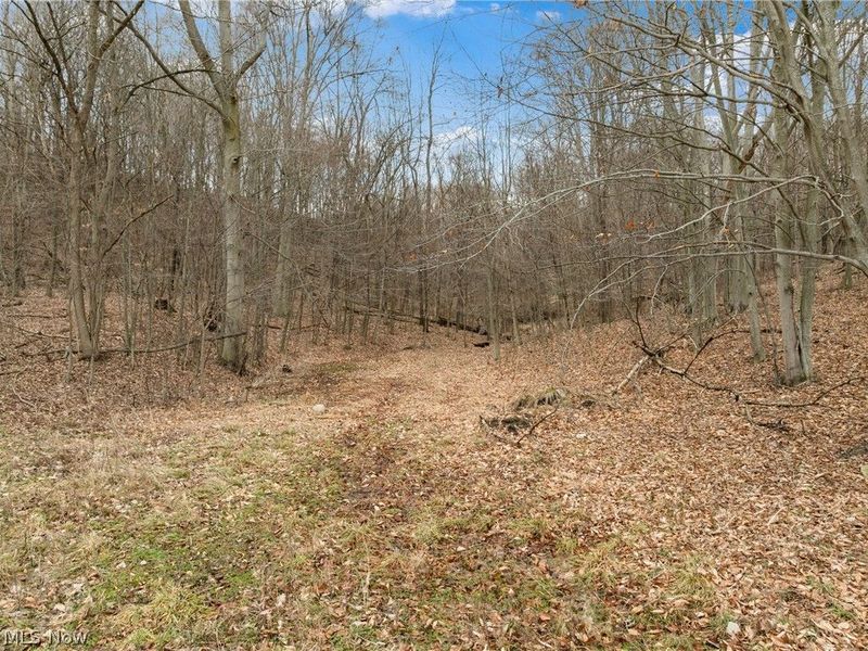 10801 Mardis Road, Kensington, OH 44427 Photo 16