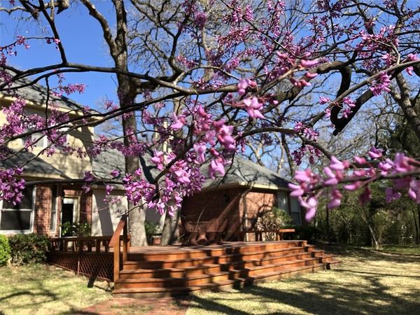 298 Comanche Moon Trail, Decatur, TX 76234