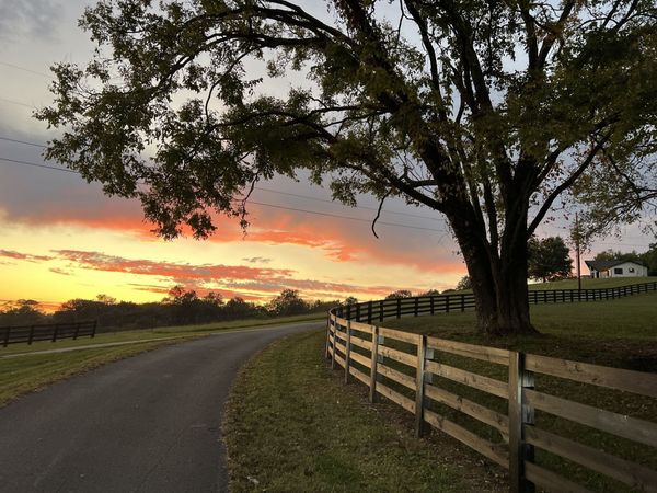 2202 Darks Mill Rd , Columbia, TN 38401