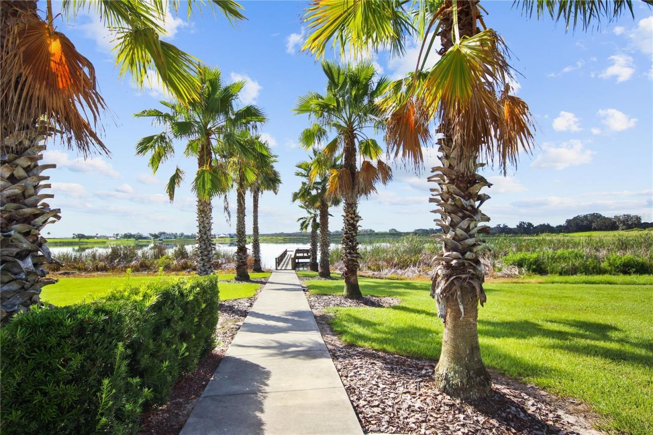 707 Waterfern Trail Drive, Auburndale, FL 33823 Photo