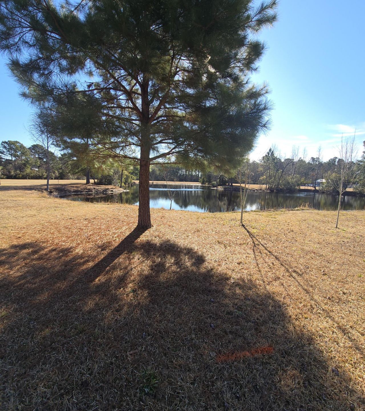 1792 Breezy Bay Way Photo 4