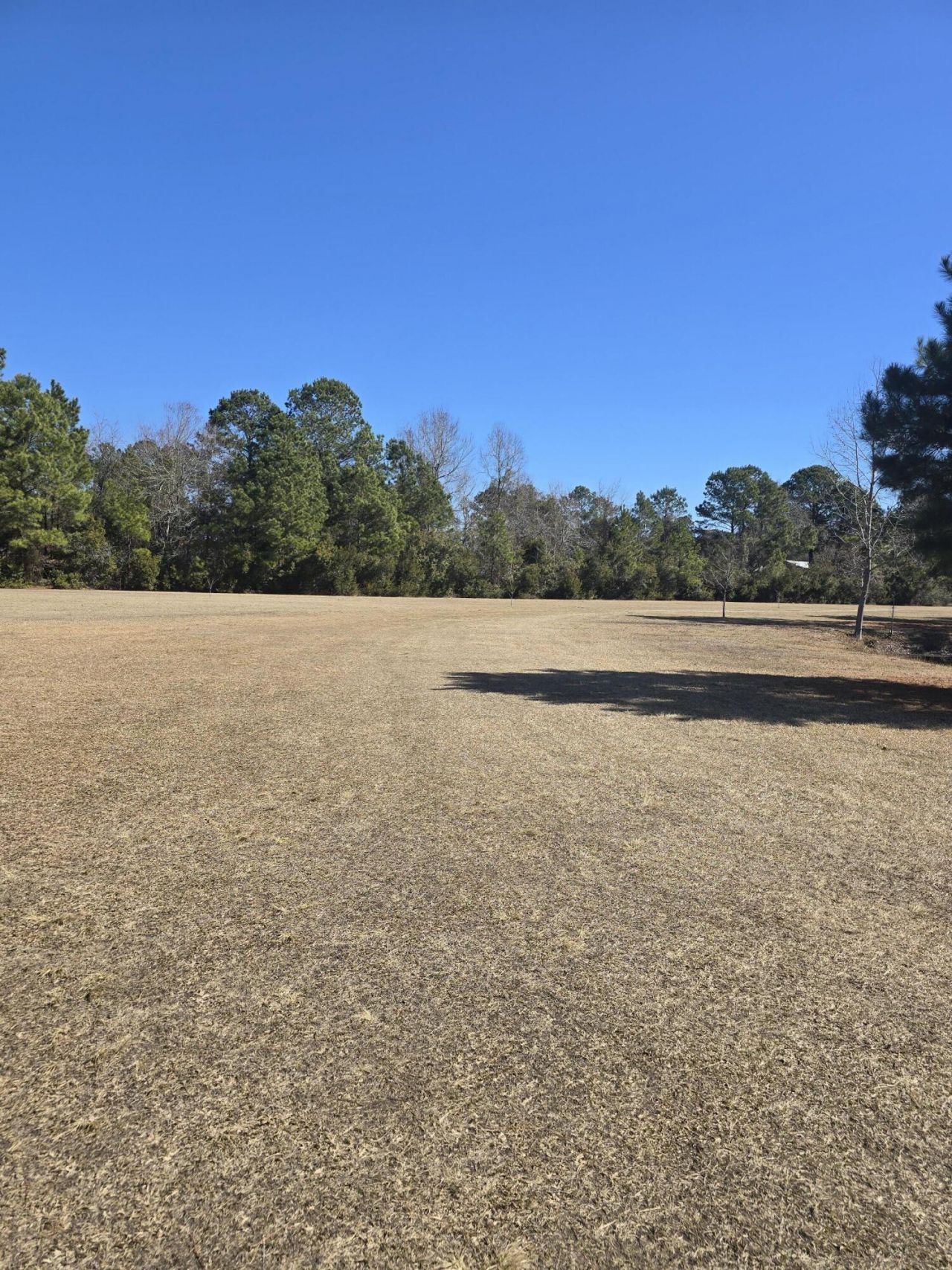 1792 Breezy Bay Way Photo 6