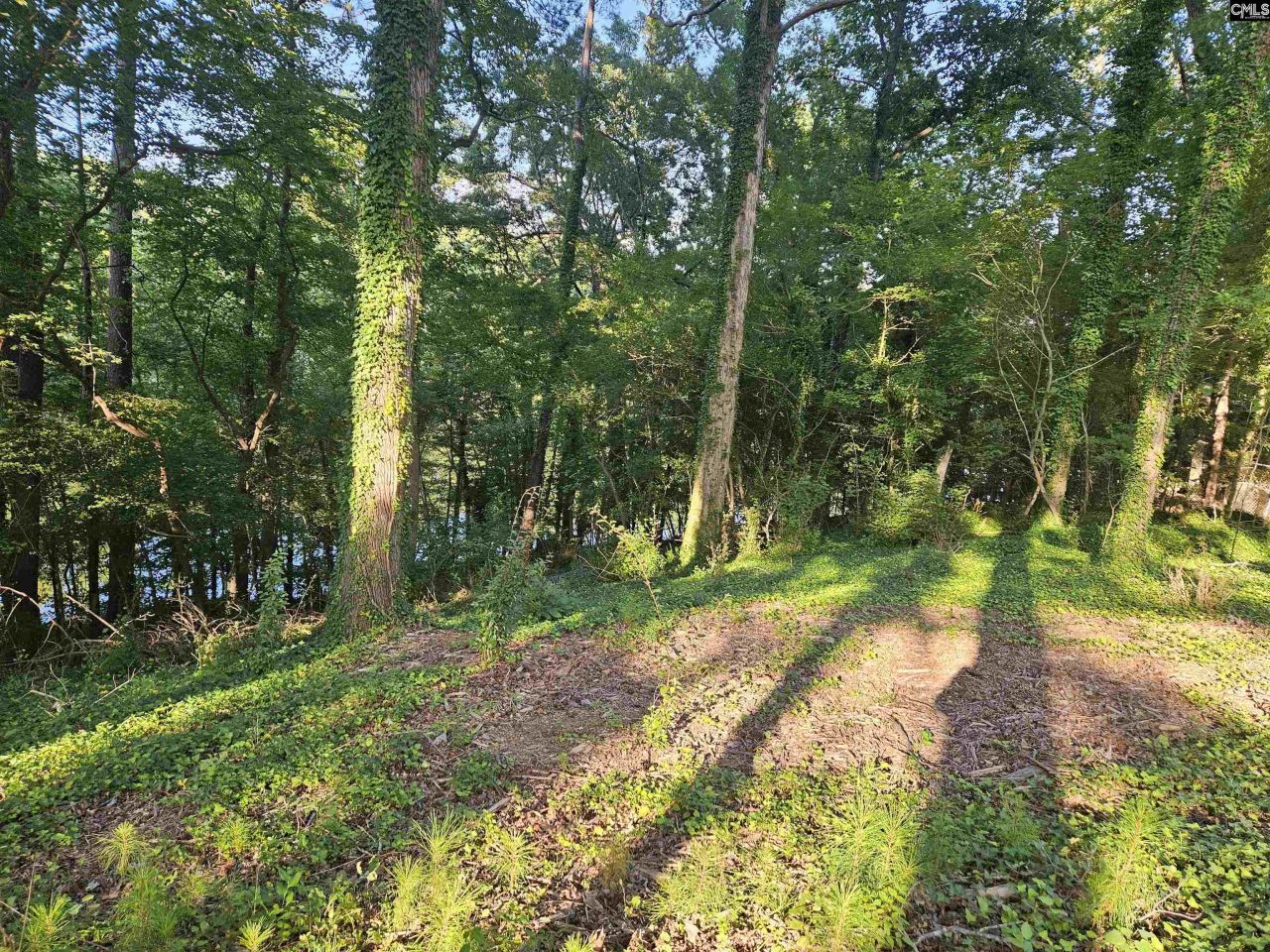 1540 Sewanee Drive Photo 11