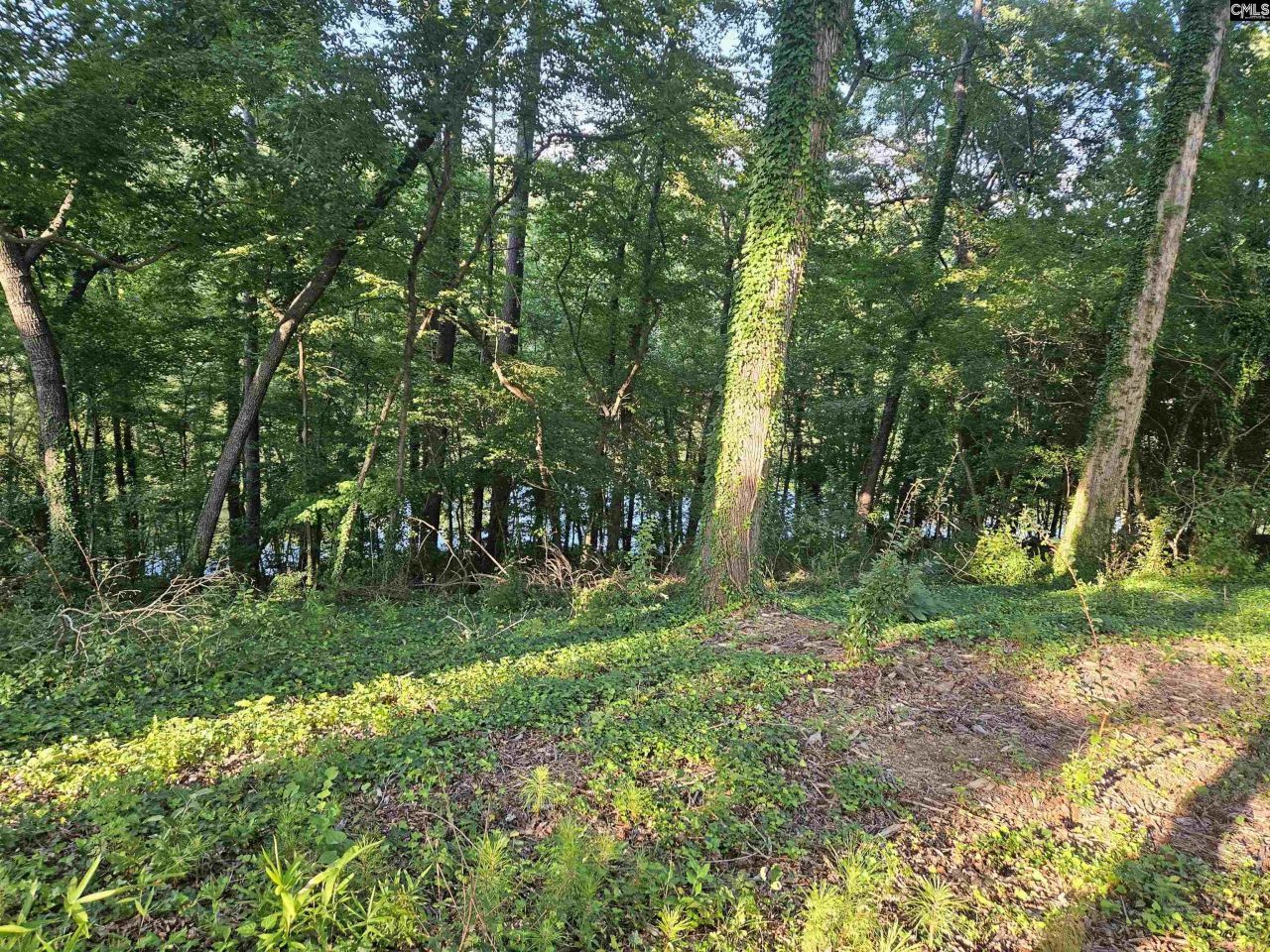 1540 Sewanee Drive Photo 12