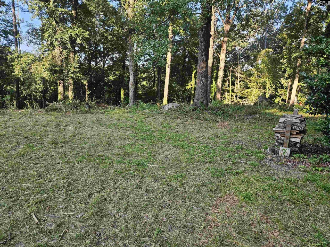 1540 Sewanee Drive Photo 5