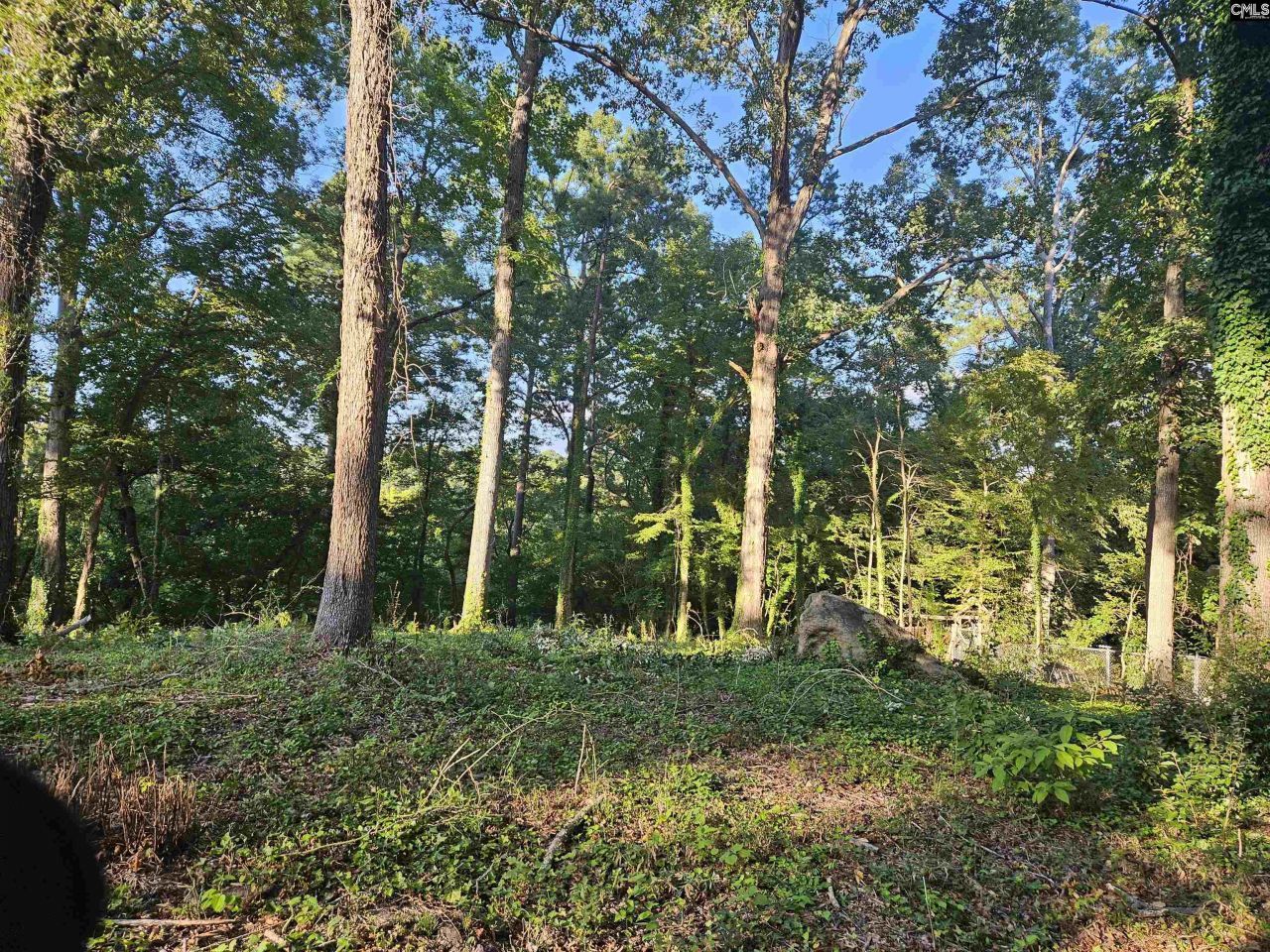 1540 Sewanee Drive Photo 8