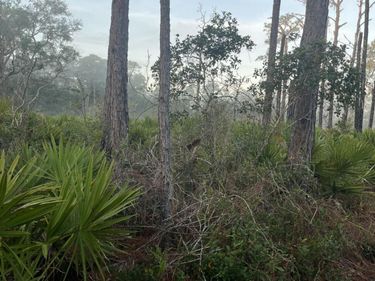 104 TEMPLE Avenue, Crescent City, FL 32112