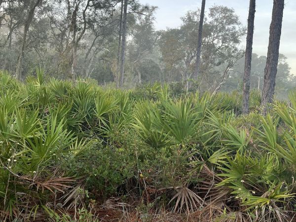 211 TEMPLE Avenue, Crescent City, FL 32112