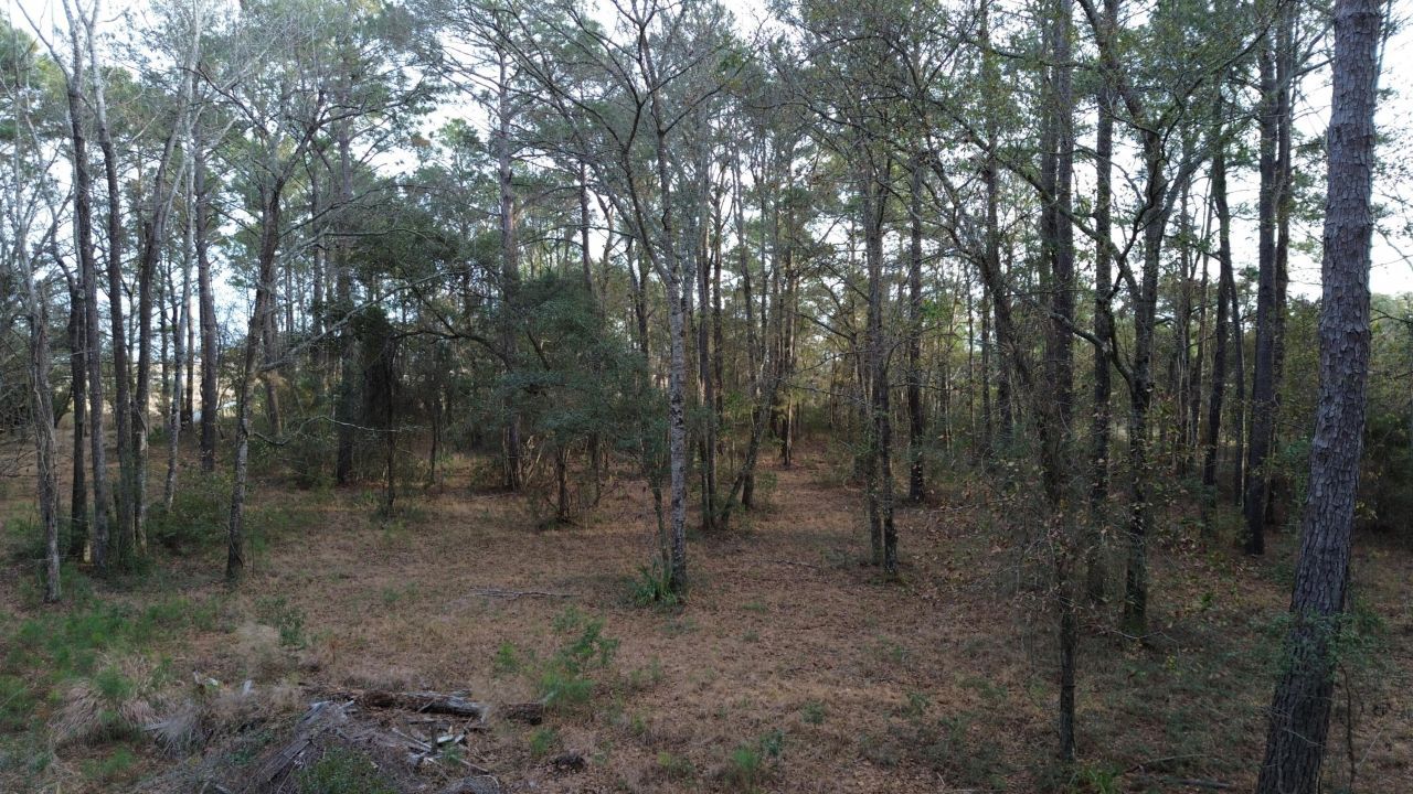 0 Two Pines Road Photo 14