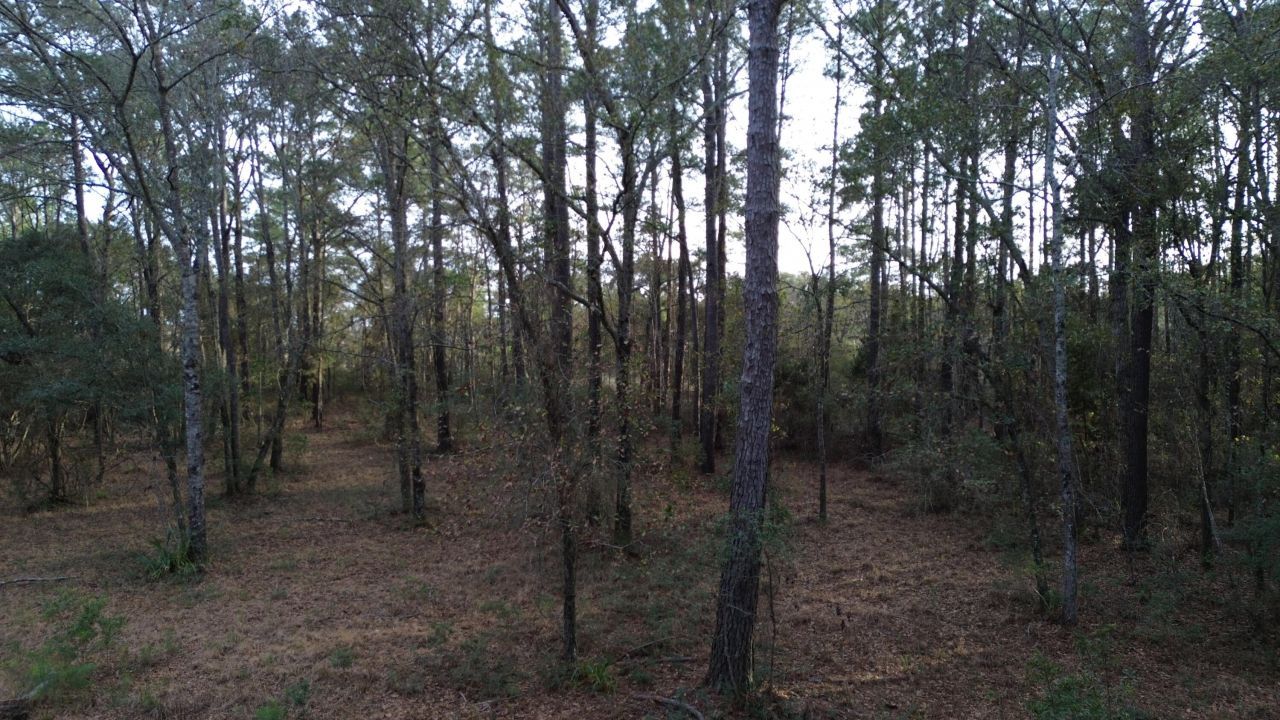 0 Two Pines Road Photo 15