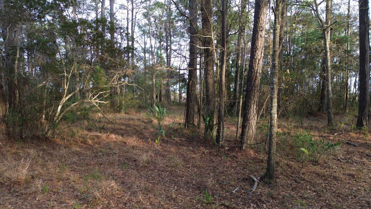 0 Two Pines Road Photo 16