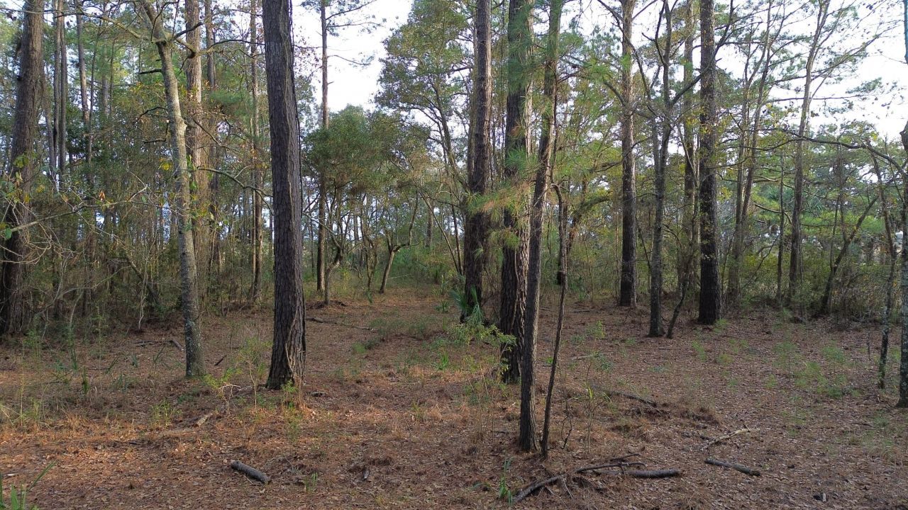 0 Two Pines Road Photo 18