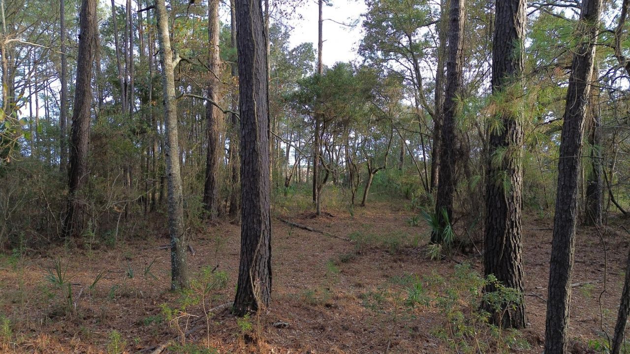 0 Two Pines Road Photo 19