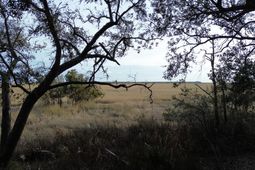 0 Two Pines Road photo 4