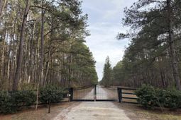 0 Two Pines Road photo 4