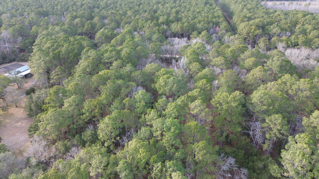 0 Two Pines Road Photo 9