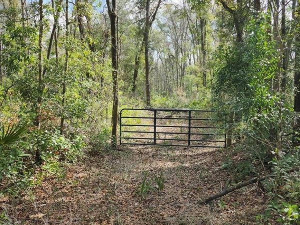 1996 NE 642nd St, Old Town, FL 32680