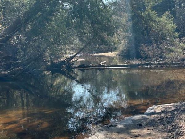 0 Wolf Log Road, Flomaton, AL 36441