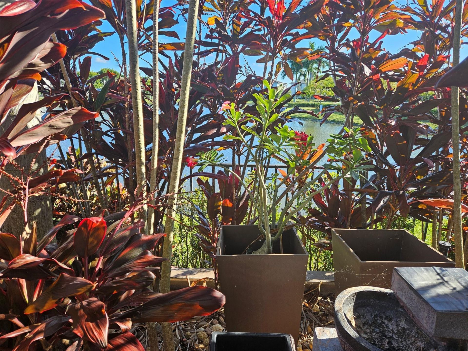 10768 Azul Lane, Parkland, FL 33076 Photo