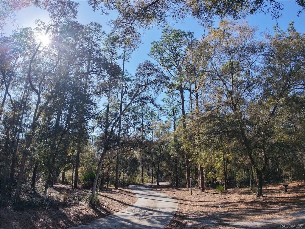 8145 N Pine Haven Point, Crystal River, FL 34428 Photo