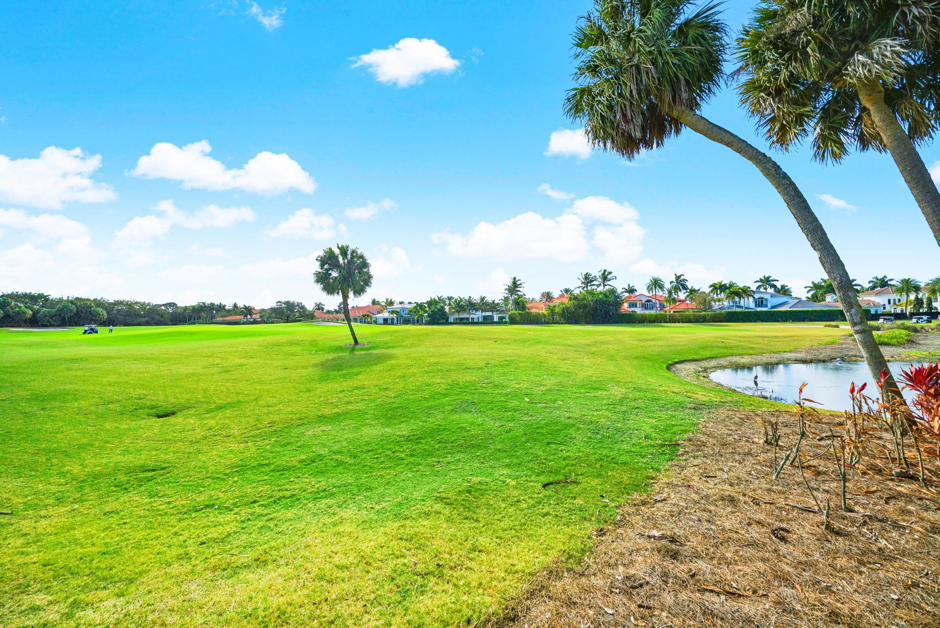 522 Les Jardin Drive, Palm Beach Gardens, FL 33410 Photo