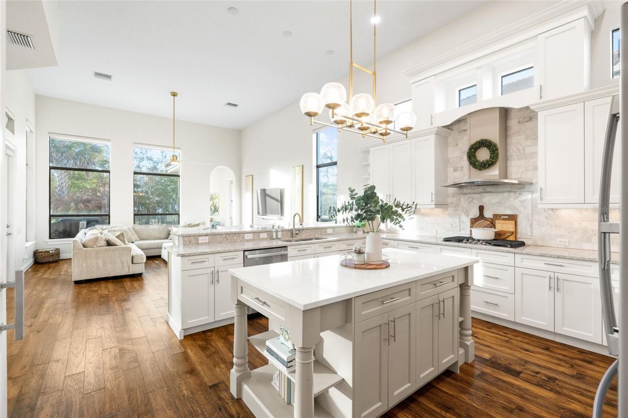 16406 Chapman Crossing Drive, Lithia, FL 33547 Photo