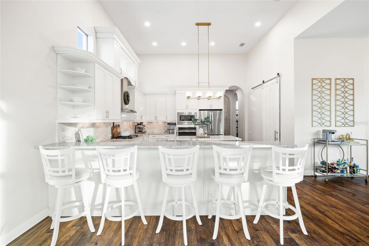 16406 Chapman Crossing Drive, Lithia, FL 33547 Photo